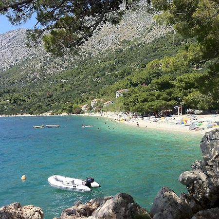 Apartments Vile Holiday Živogošće Buitenkant foto