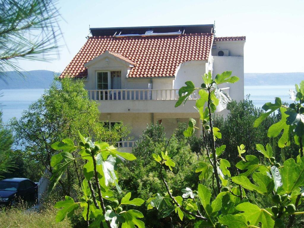 Apartments Vile Holiday Živogošće Buitenkant foto