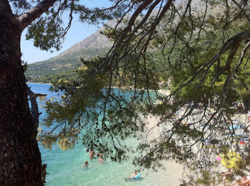 Apartments Vile Holiday Živogošće Buitenkant foto